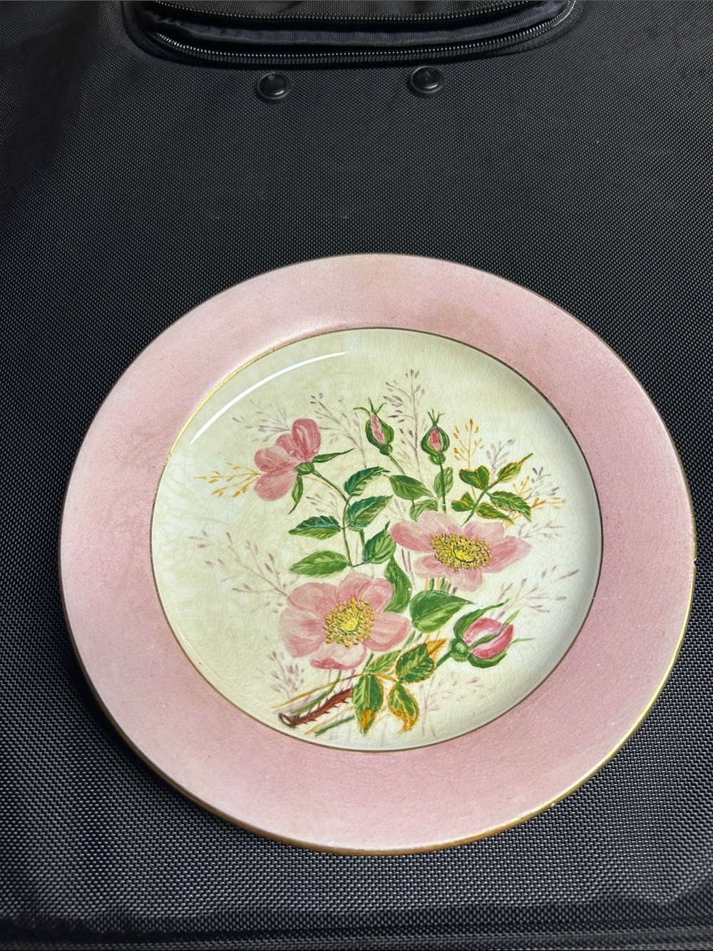 1884 Bridgwood & Son RARE Hand Painted Wild Rose Plate - Artist Signed C.W.J. -